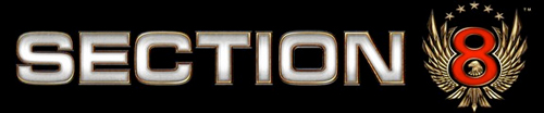 section8