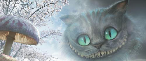 aliciapaismaravillas1 aliciapaismaravillas1