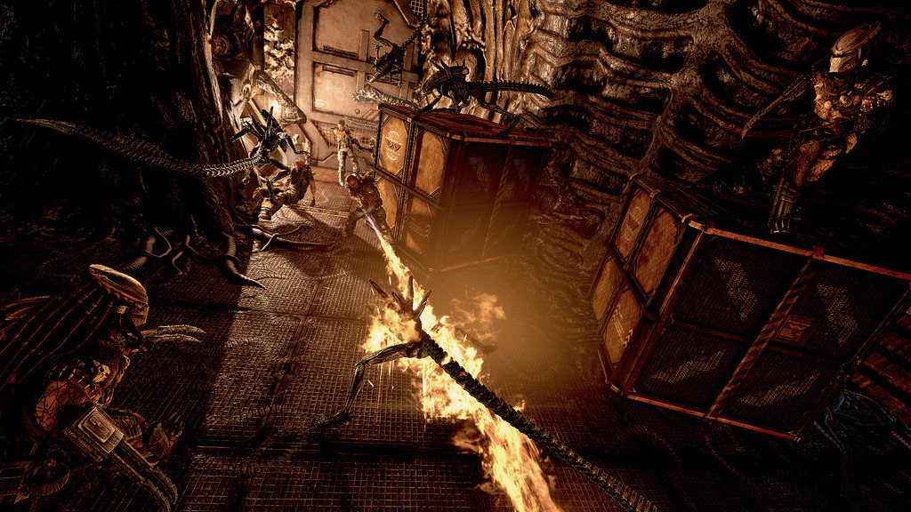 Alien vs Predator_7 Alien vs Predator_7