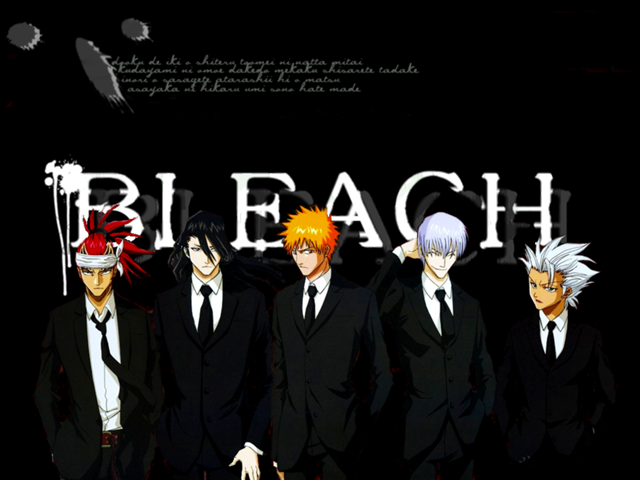 bleach1