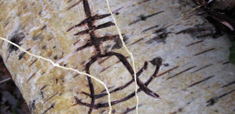 Murdered: Soul Suspects para PC, PS3 y Xbox 360