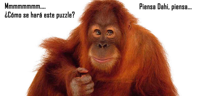 Oranguntan - Profesor Layton