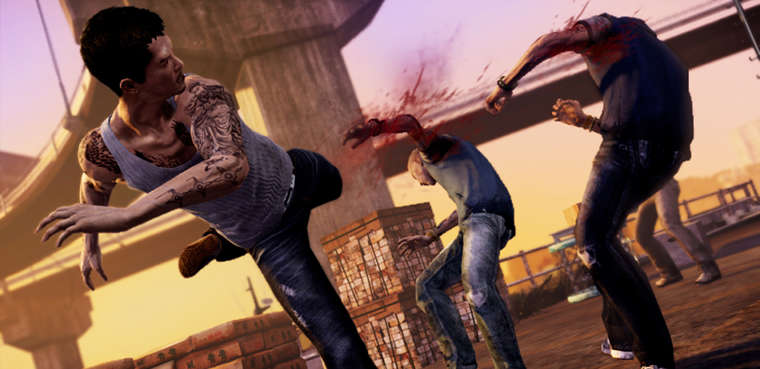 Sleeping Dogs Pc
