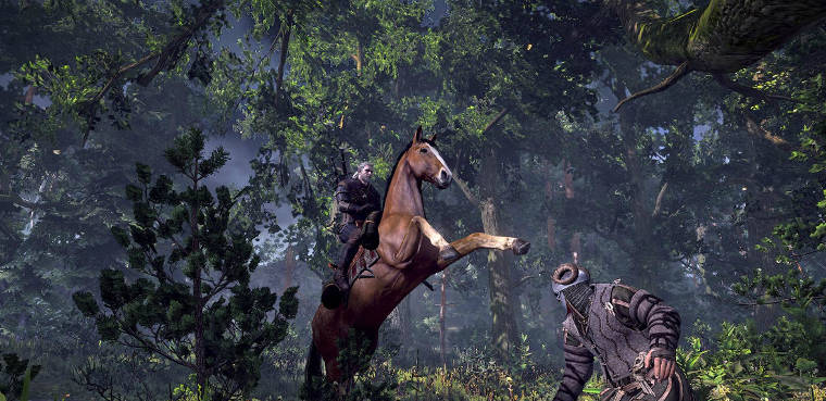 The Witcher 3 Pc Xbox 360 Ps3