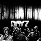 Day Z