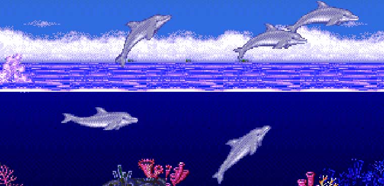 Ecco the Dolphin