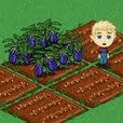 FarmVille 2