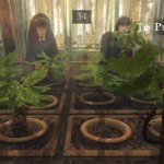 Anunciado 'Harry Potter Kinect'