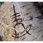 'Murdered: Soul Suspect' nos muestra nuevas pistas / PC, PS3, Xbox 360