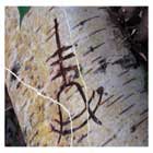 'Murdered: Soul Suspect' nos muestra su primer Teaser / PC, PS3, Xbox 360